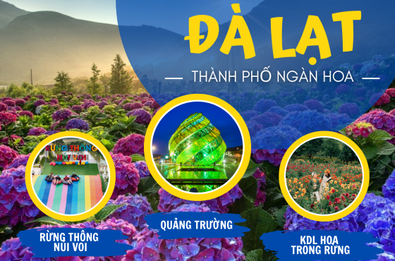 <font dir="auto" style="vertical-align: inherit;"><font dir="auto" style="vertical-align: inherit;">ĐÀ LẠT KDL RỪNG THÔNG NÚI VOI – HOA TRỌNG RỪNG</font></font>