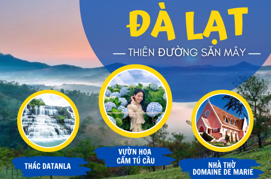 ĐÀ LẠT | CHINH PHỤC THIÊN ĐƯỜNG SĂN MÂY