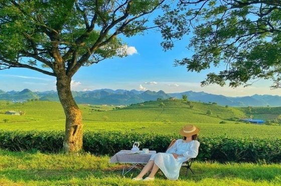 MỘC CHÂU – HÀ NỘI | CAO NGUYÊN MỘC CHÂU – THỦ ĐÔ VĂN HIẾN