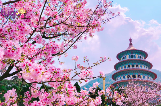 ĐÀI LOAN | KHÁM PHÁ ĐẢO NGỌC – TỪ ĐÀI BẮC ĐẾN CAO HÙNG