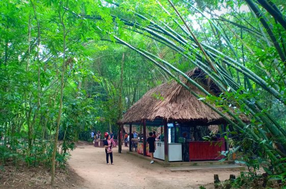 “Củ Chi – Hành Trình Về Nguồn Khám Phá Địa Đạo Huyền Thoại”
